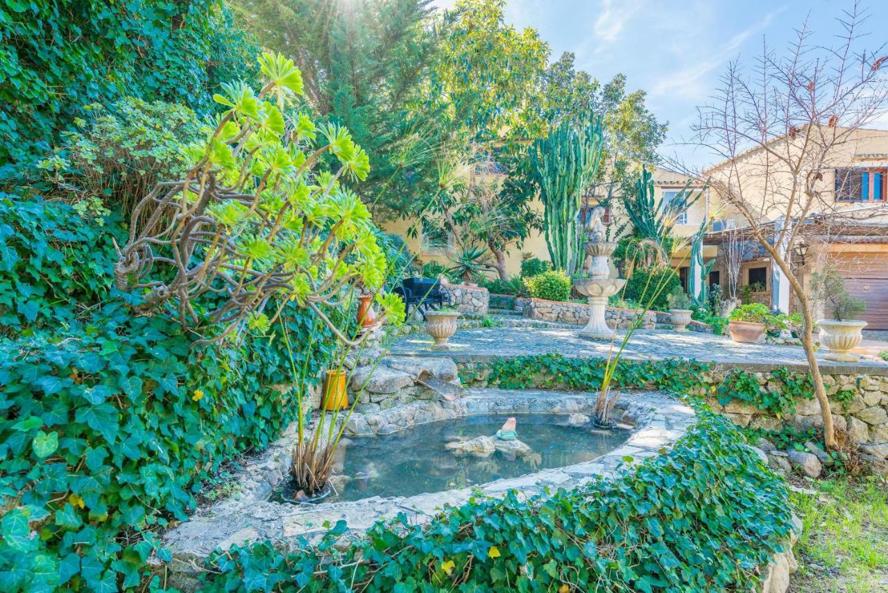 Coste Can Moragues Pollenca Ngoại thất bức ảnh